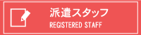 派遣スタッフ